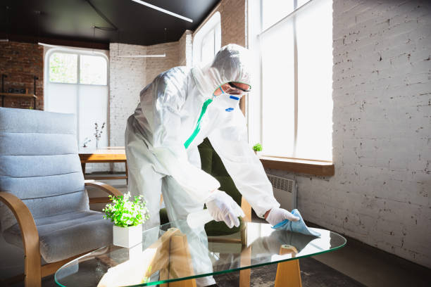 Why You Should Choose Our Mold Remediation Services in Coachella, CA